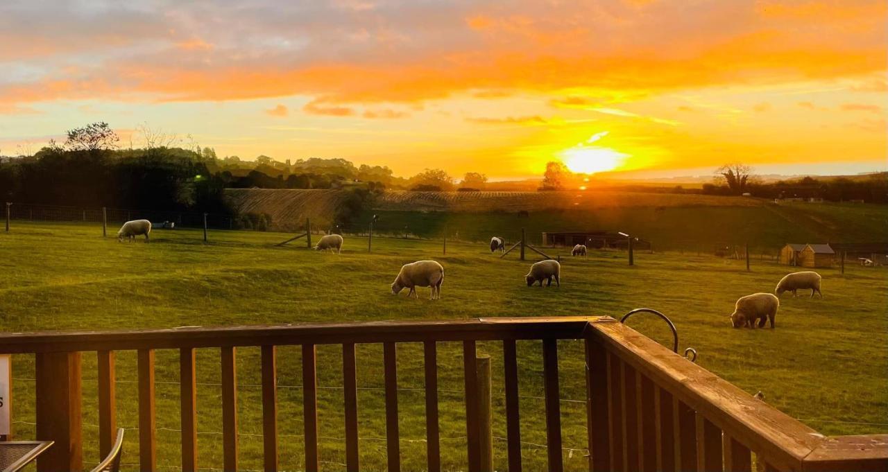 Fairview Farm Holiday Accommodation 14 Luxury Lodges, Cabins, Dog Friendly, Suitable For Couples, Families And Groups, Wedding Guests , Corporate Events, Sleeps 2-65 Guests In Ravenshead, Nottingham Near Sherwood Forest, Set In 88 Acres Exteriér fotografie