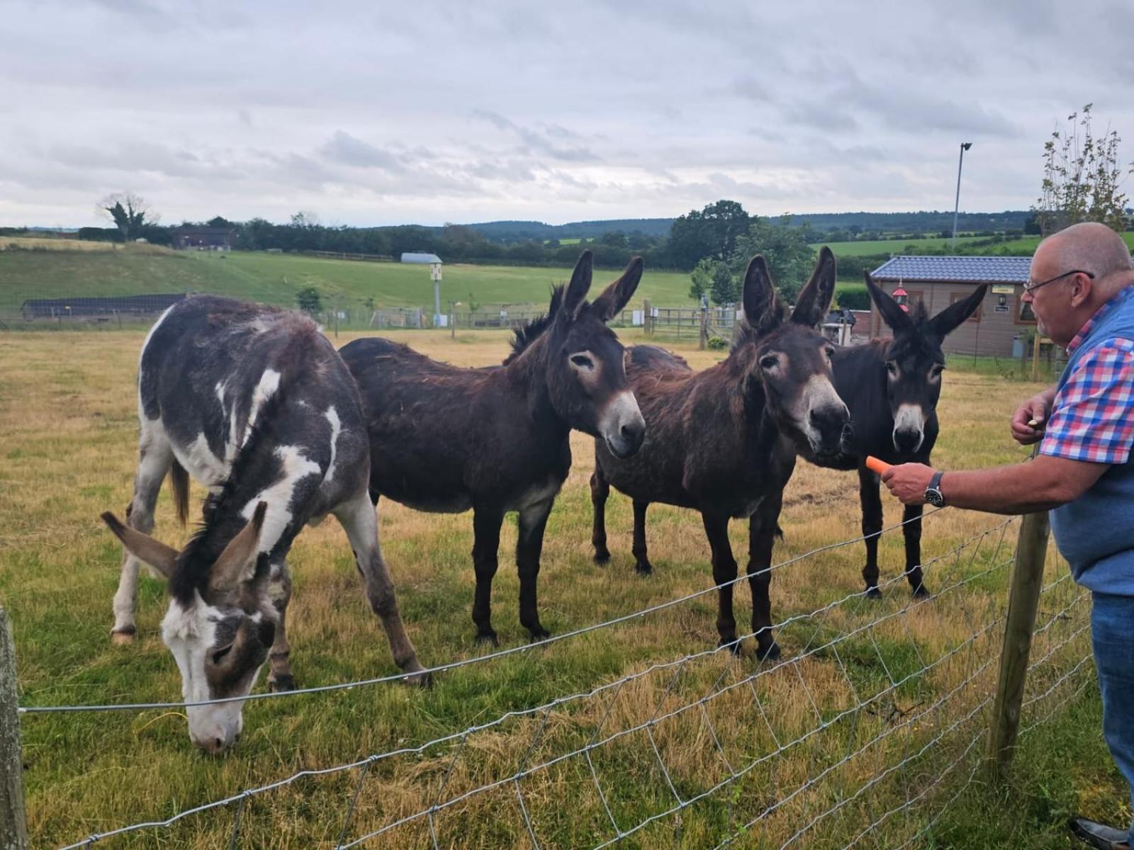 Fairview Farm Holiday Accommodation 14 Luxury Lodges, Cabins, Dog Friendly, Suitable For Couples, Families And Groups, Wedding Guests , Corporate Events, Sleeps 2-65 Guests In Ravenshead, Nottingham Near Sherwood Forest, Set In 88 Acres Exteriér fotografie