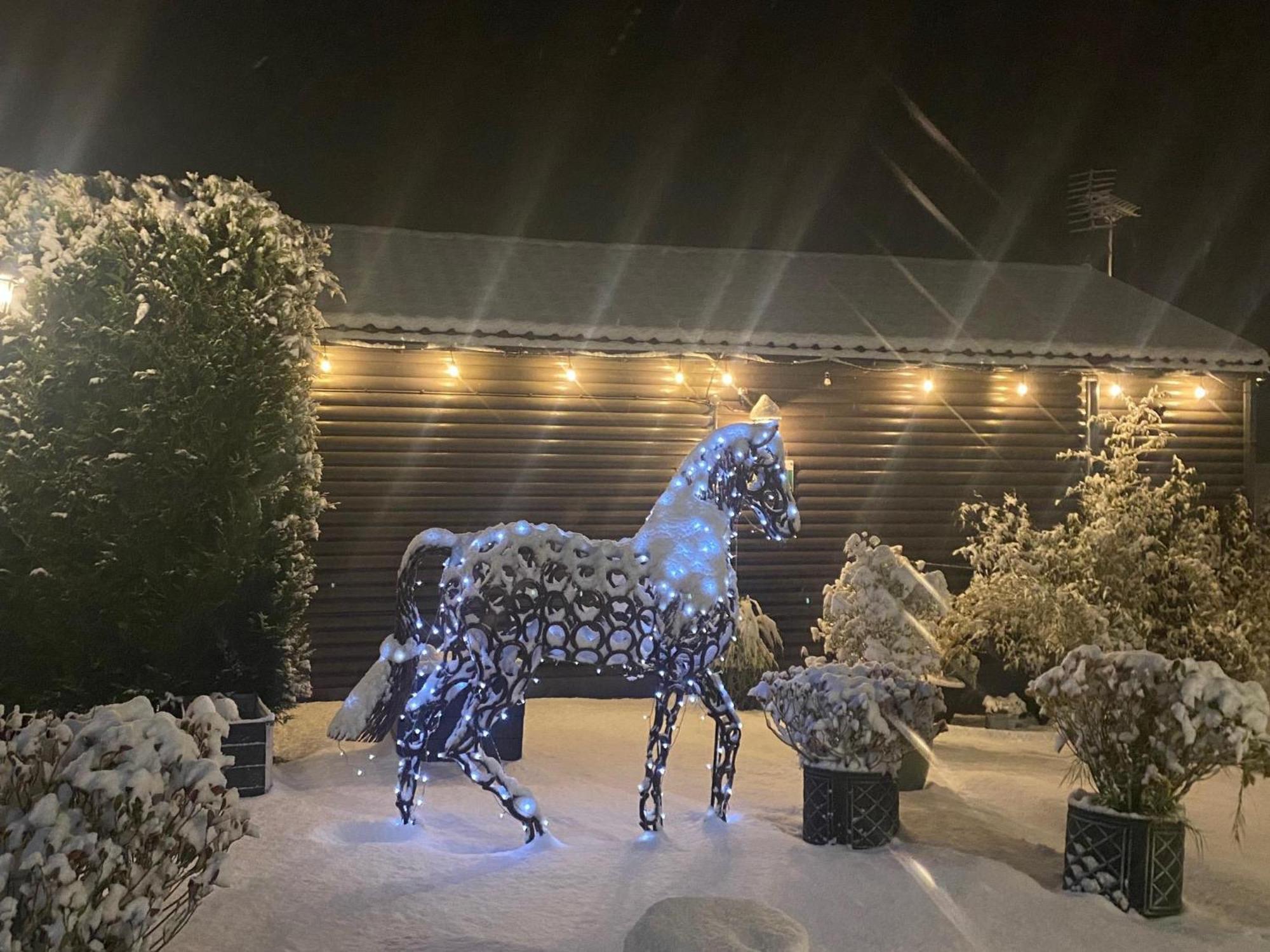 Fairview Farm Holiday Accommodation 14 Luxury Lodges, Cabins, Dog Friendly, Suitable For Couples, Families And Groups, Wedding Guests , Corporate Events, Sleeps 2-65 Guests In Ravenshead, Nottingham Near Sherwood Forest, Set In 88 Acres Exteriér fotografie