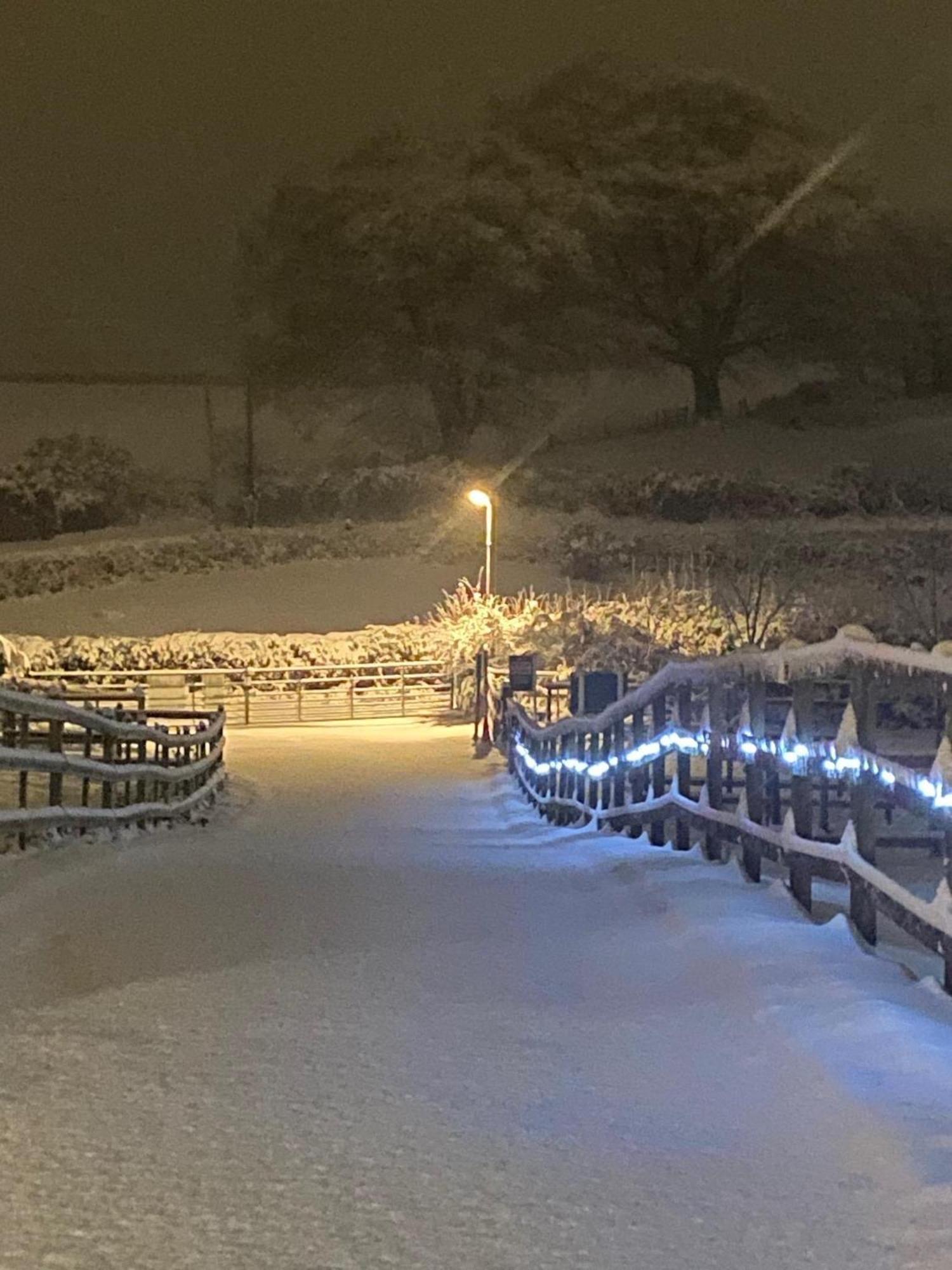 Fairview Farm Holiday Accommodation 14 Luxury Lodges, Cabins, Dog Friendly, Suitable For Couples, Families And Groups, Wedding Guests , Corporate Events, Sleeps 2-65 Guests In Ravenshead, Nottingham Near Sherwood Forest, Set In 88 Acres Exteriér fotografie