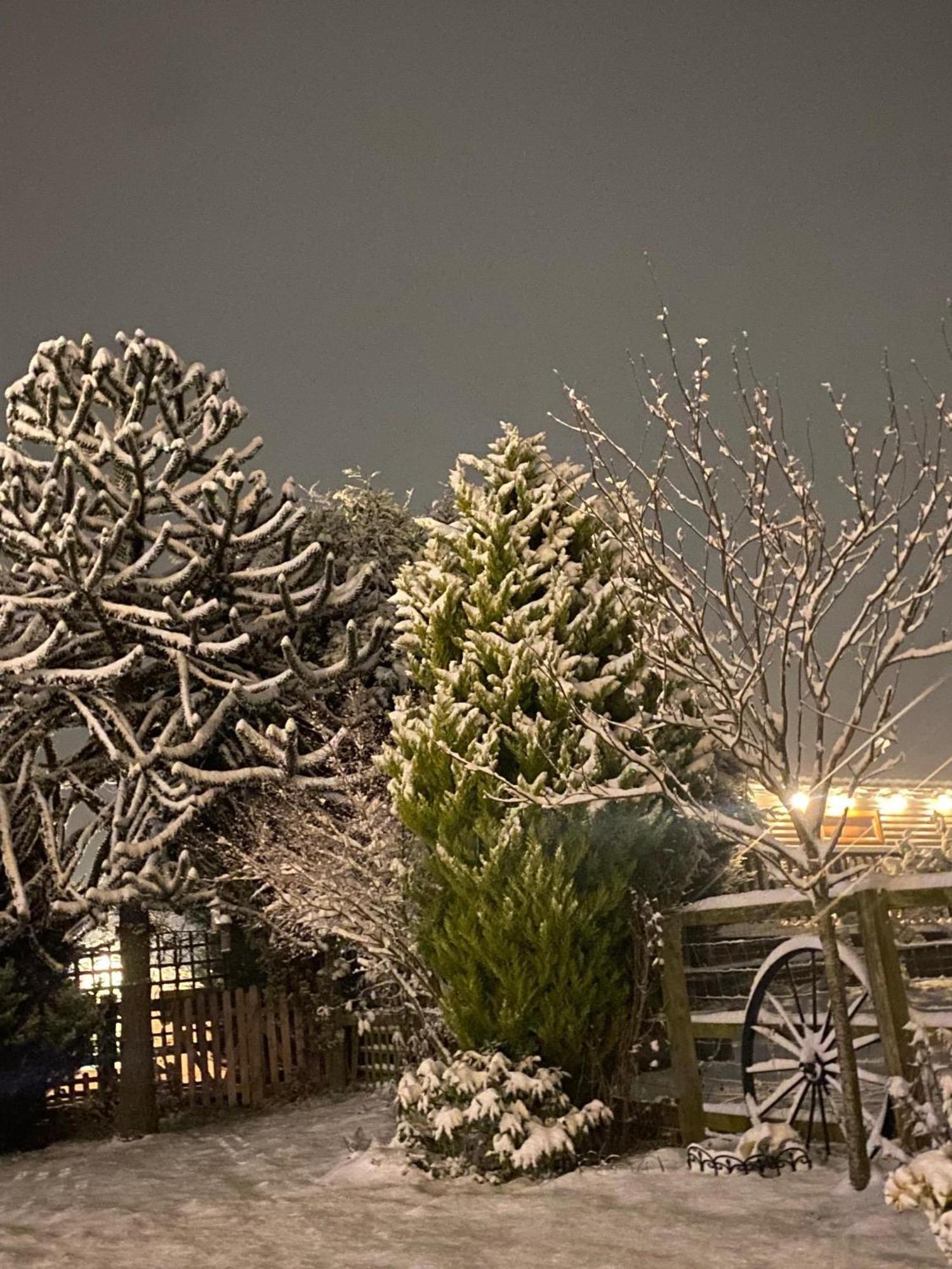 Fairview Farm Holiday Accommodation 14 Luxury Lodges, Cabins, Dog Friendly, Suitable For Couples, Families And Groups, Wedding Guests , Corporate Events, Sleeps 2-65 Guests In Ravenshead, Nottingham Near Sherwood Forest, Set In 88 Acres Exteriér fotografie