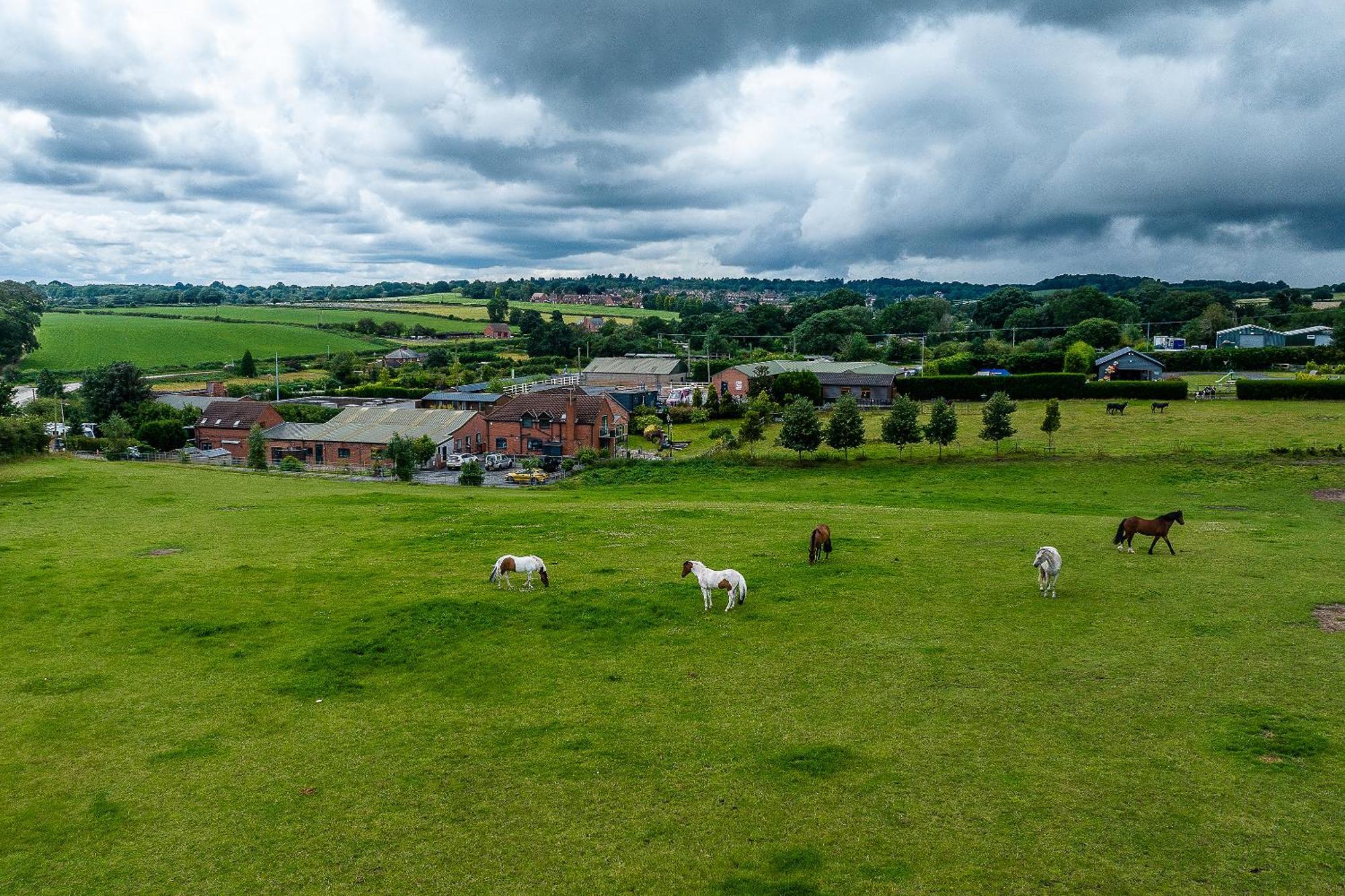 Fairview Farm Holiday Accommodation 14 Luxury Lodges, Cabins, Dog Friendly, Suitable For Couples, Families And Groups, Wedding Guests , Corporate Events, Sleeps 2-65 Guests In Ravenshead, Nottingham Near Sherwood Forest, Set In 88 Acres Exteriér fotografie
